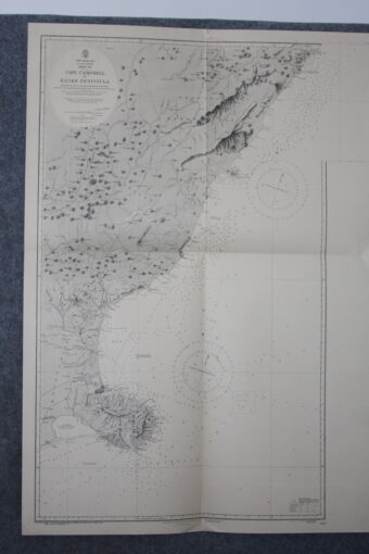 Cape Campbell to Bank Peninsula. New Zealand South island (sheet VIII). nº2529